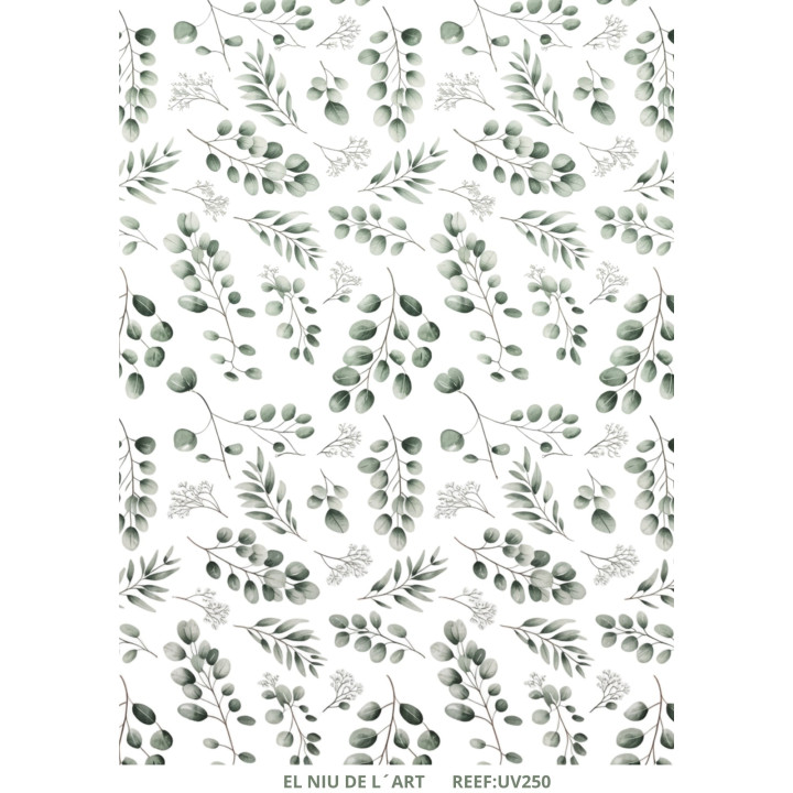 copy of 